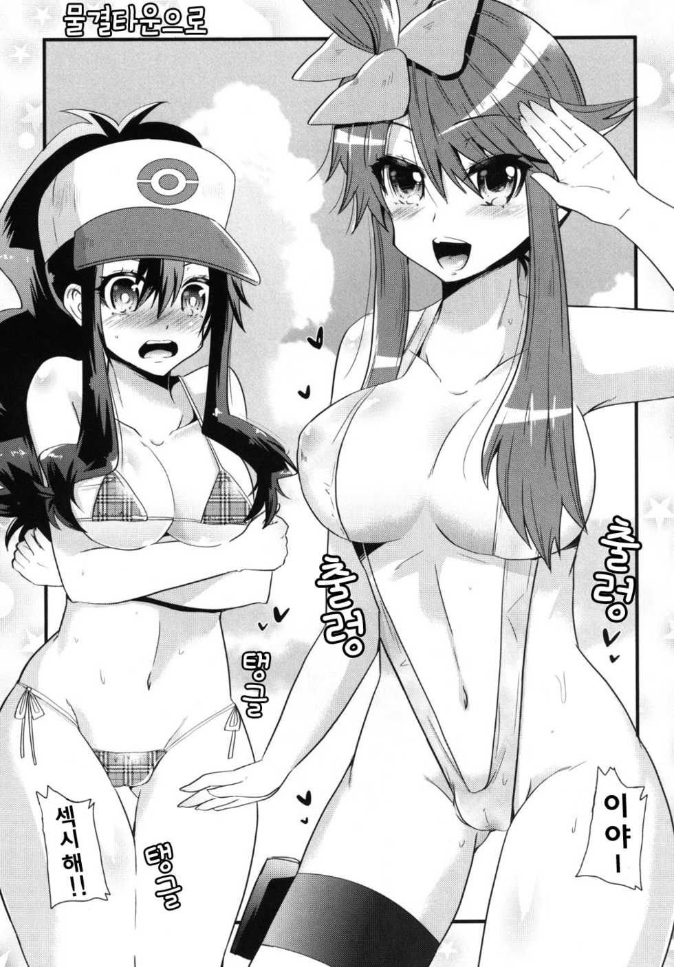 (C80) [Metaneko (Minagi Umihito)] Passion Girls (Pokémon Black and White) [Korean] [스위치] - Page 21