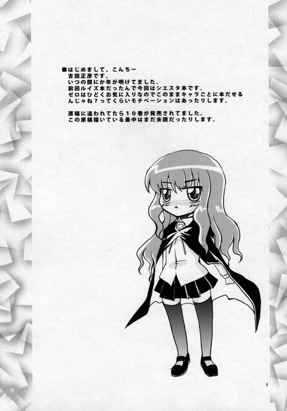 [Sound Sticker (Yoshida Masahiko)] Nukegake Paranoia (Zero no Tsukaima) - Page 3