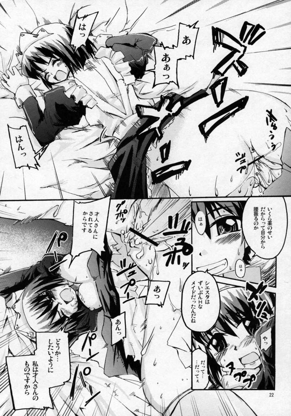 [Sound Sticker (Yoshida Masahiko)] Nukegake Paranoia (Zero no Tsukaima) - Page 21