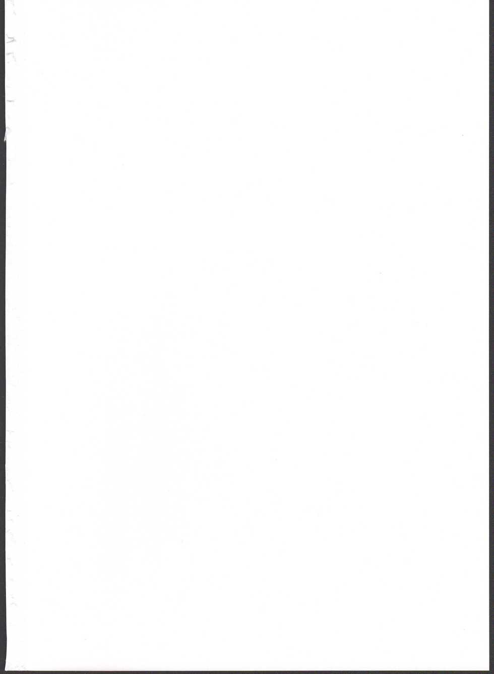 (C90) [Narukotei (Akiyama Yuuzi)] Ito no Naka de (Summon Night) - Page 2