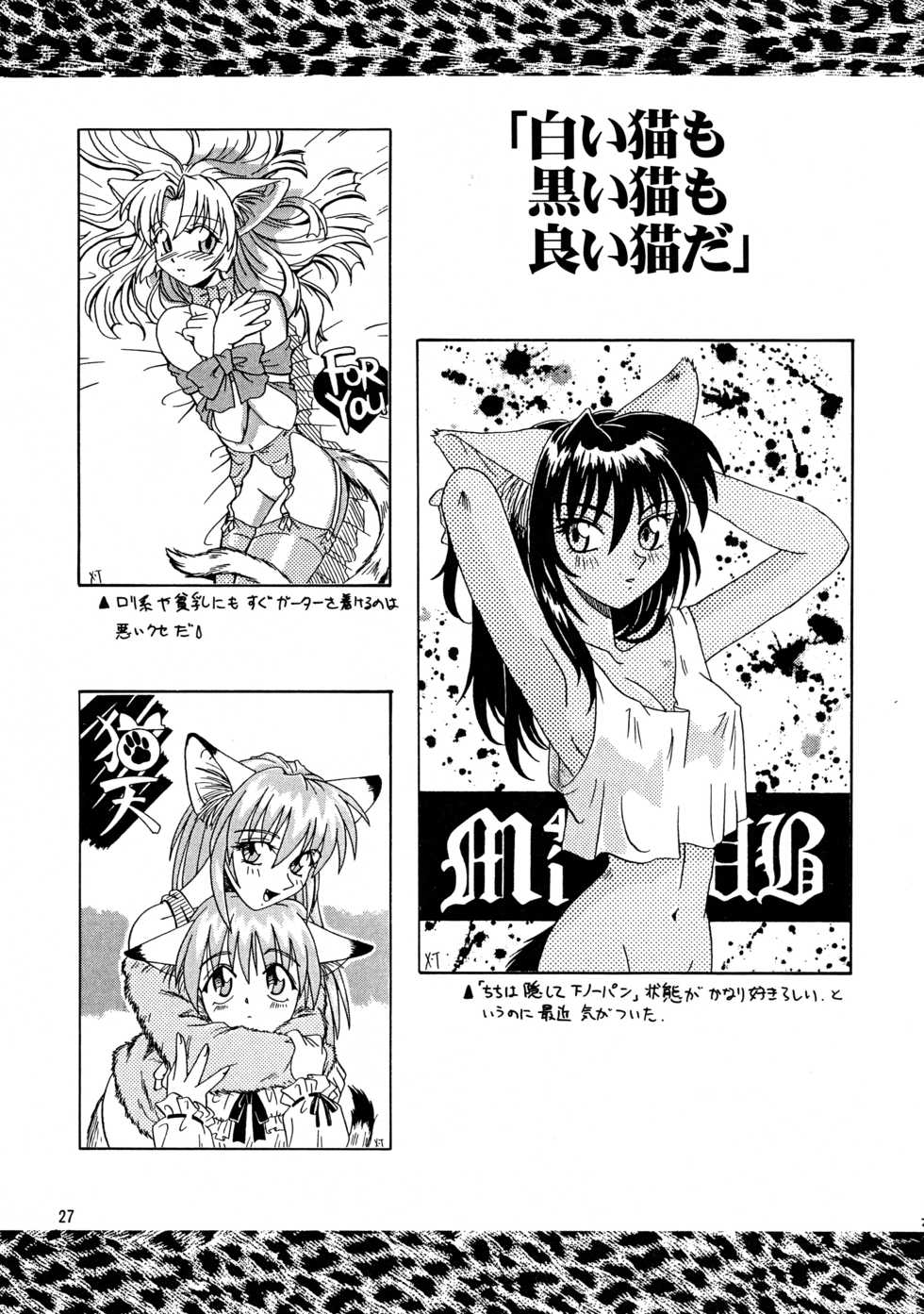 (C53) [.30-06 (Tsutsumi Akari)] CAZA MAYOR - Page 27