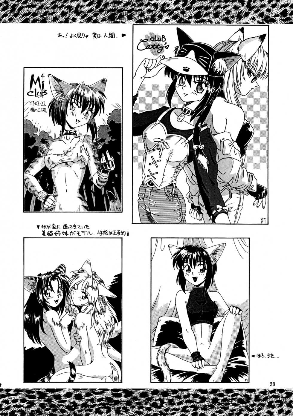 (C53) [.30-06 (Tsutsumi Akari)] CAZA MAYOR - Page 28