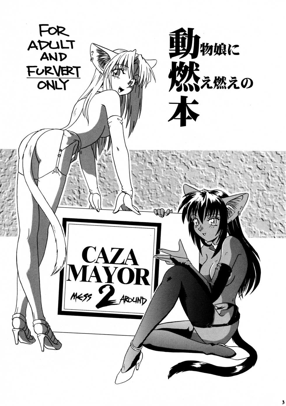 [ネコミミ団(.30-06)] CAZA MAYOR 2 - Page 3