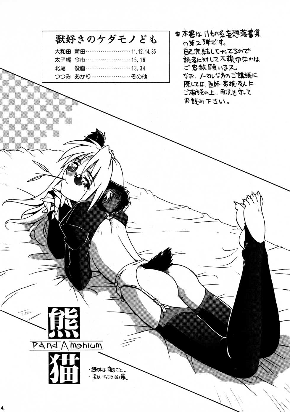 [ネコミミ団(.30-06)] CAZA MAYOR 2 - Page 4