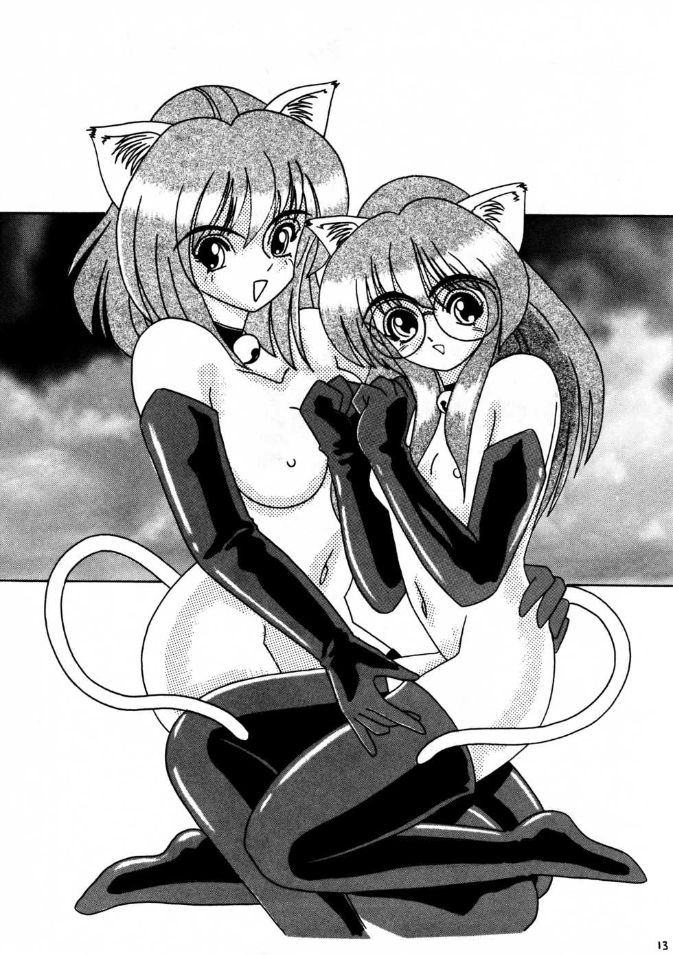 [ネコミミ団(.30-06)] CAZA MAYOR 2 - Page 13