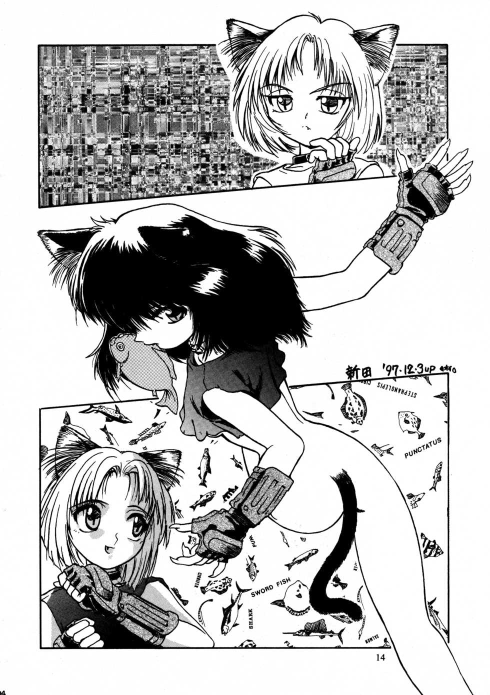 [ネコミミ団(.30-06)] CAZA MAYOR 2 - Page 14
