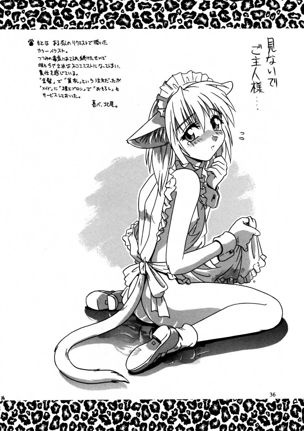 [ネコミミ団(.30-06)] CAZA MAYOR 2 - Page 36
