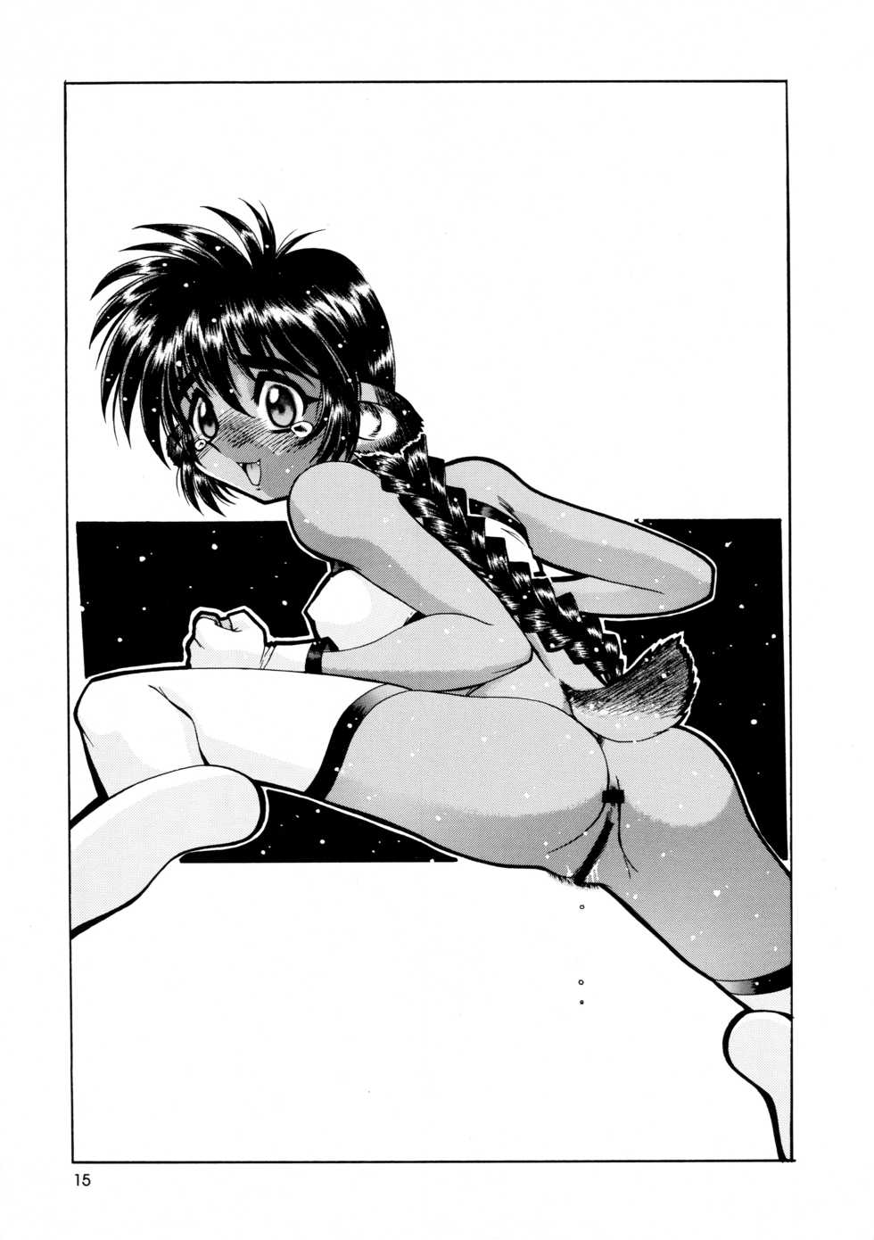 (C54) [.30-06 (Tsutsumi Akari)] CAZA MAYOR 3 - Page 15