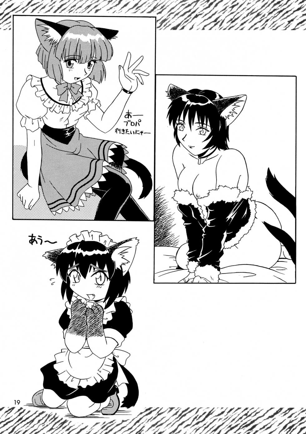 (C56) [.30-06 (Tsutsumi Akari)] CAZA MAYOR ~'99 estio~ - Page 19