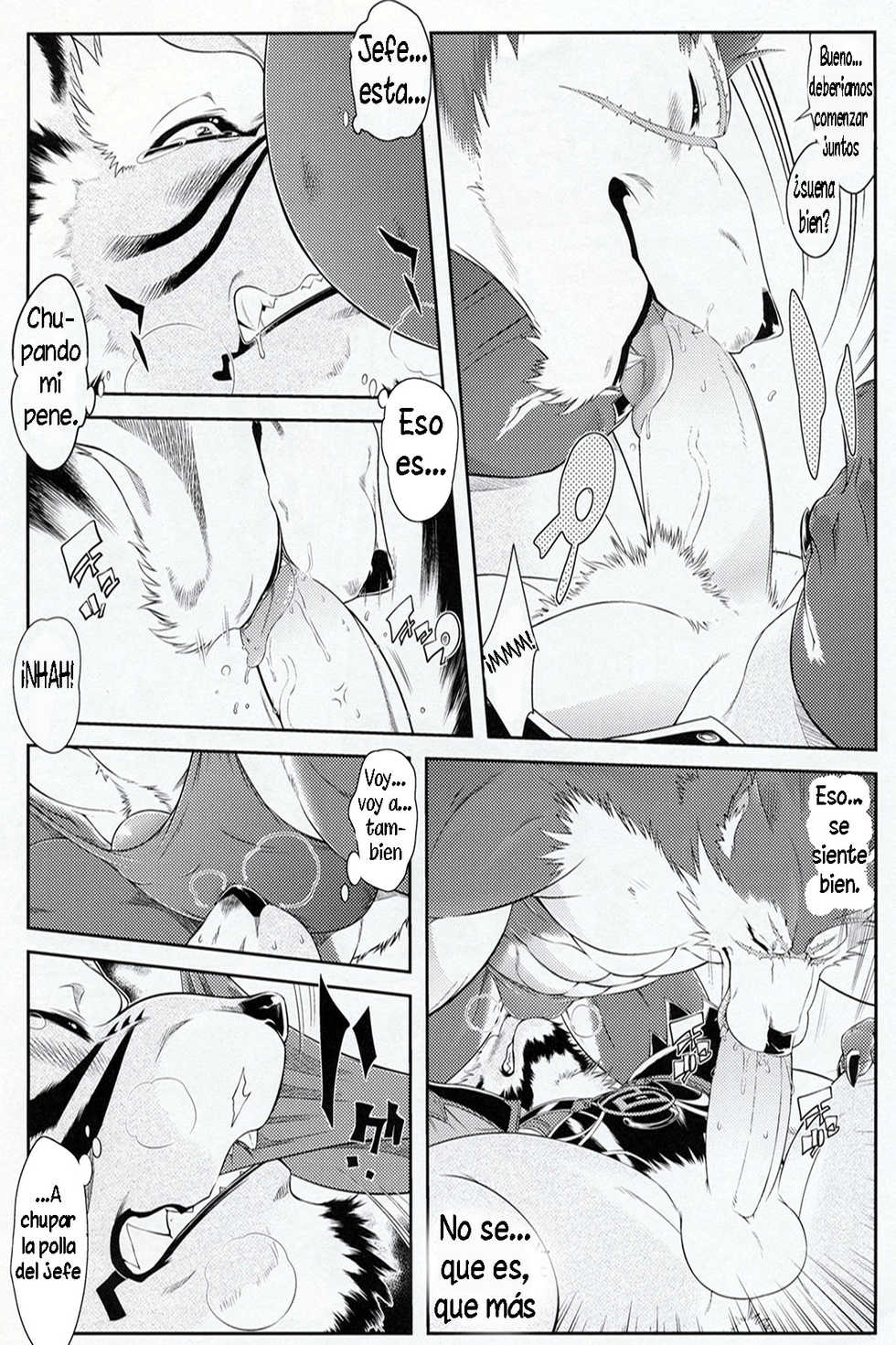 (C78) [Sweet Taste (Amakuchi)] Shining F (SHINING WIND) [Spanish] [Tori-traducciones II] [Decensored] - Page 15
