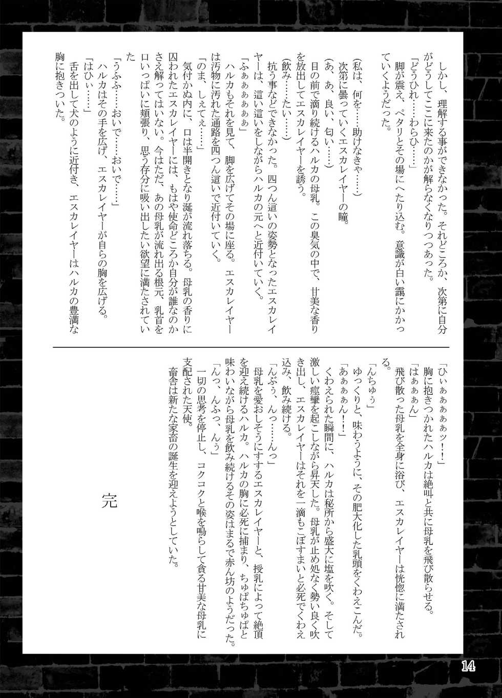 [Daraku Jiko Chousa Iinkai (Sch-mit)] Choukou Daraku [Digital] - Page 14