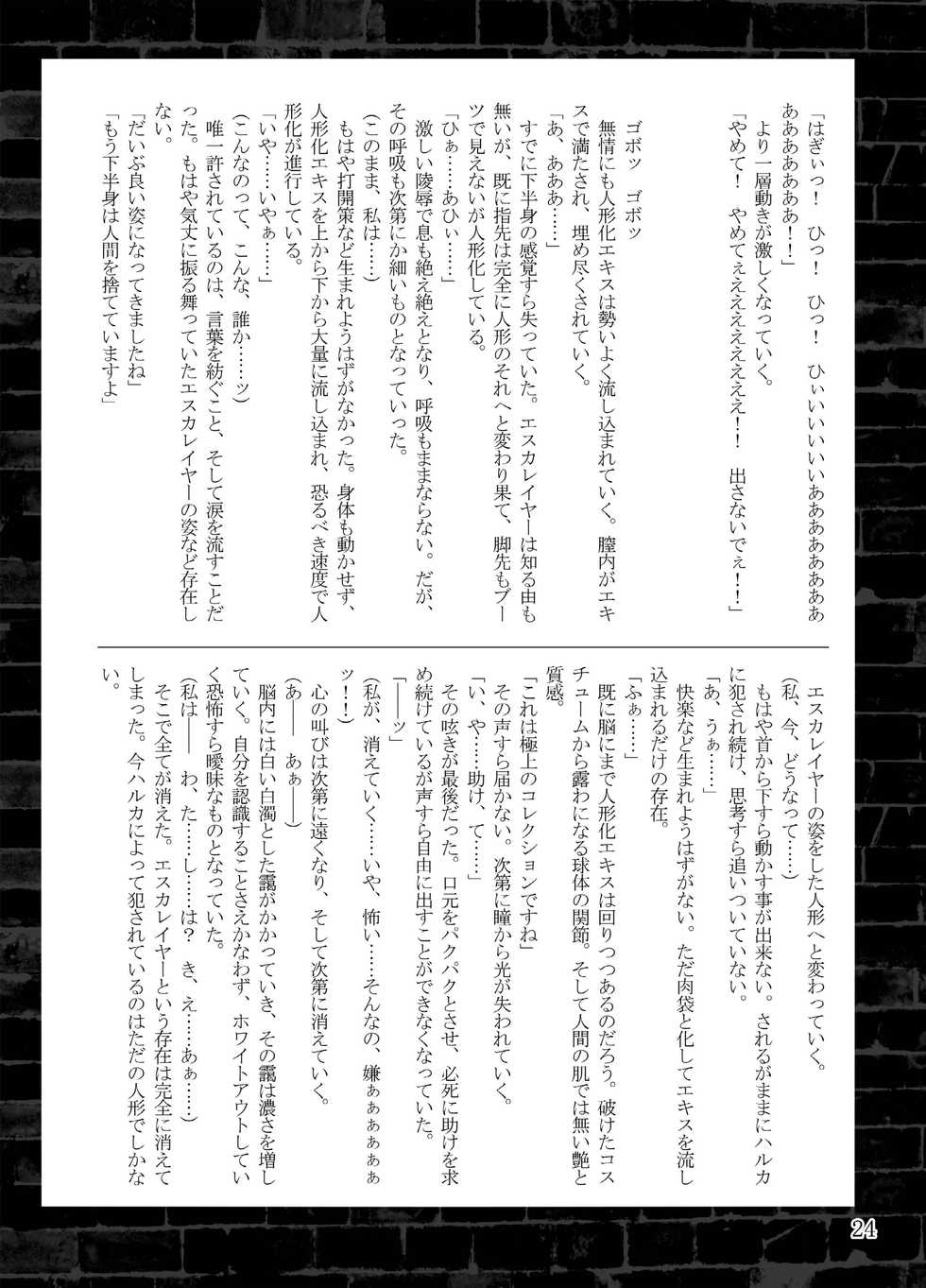 [Daraku Jiko Chousa Iinkai (Sch-mit)] Choukou Daraku [Digital] - Page 24