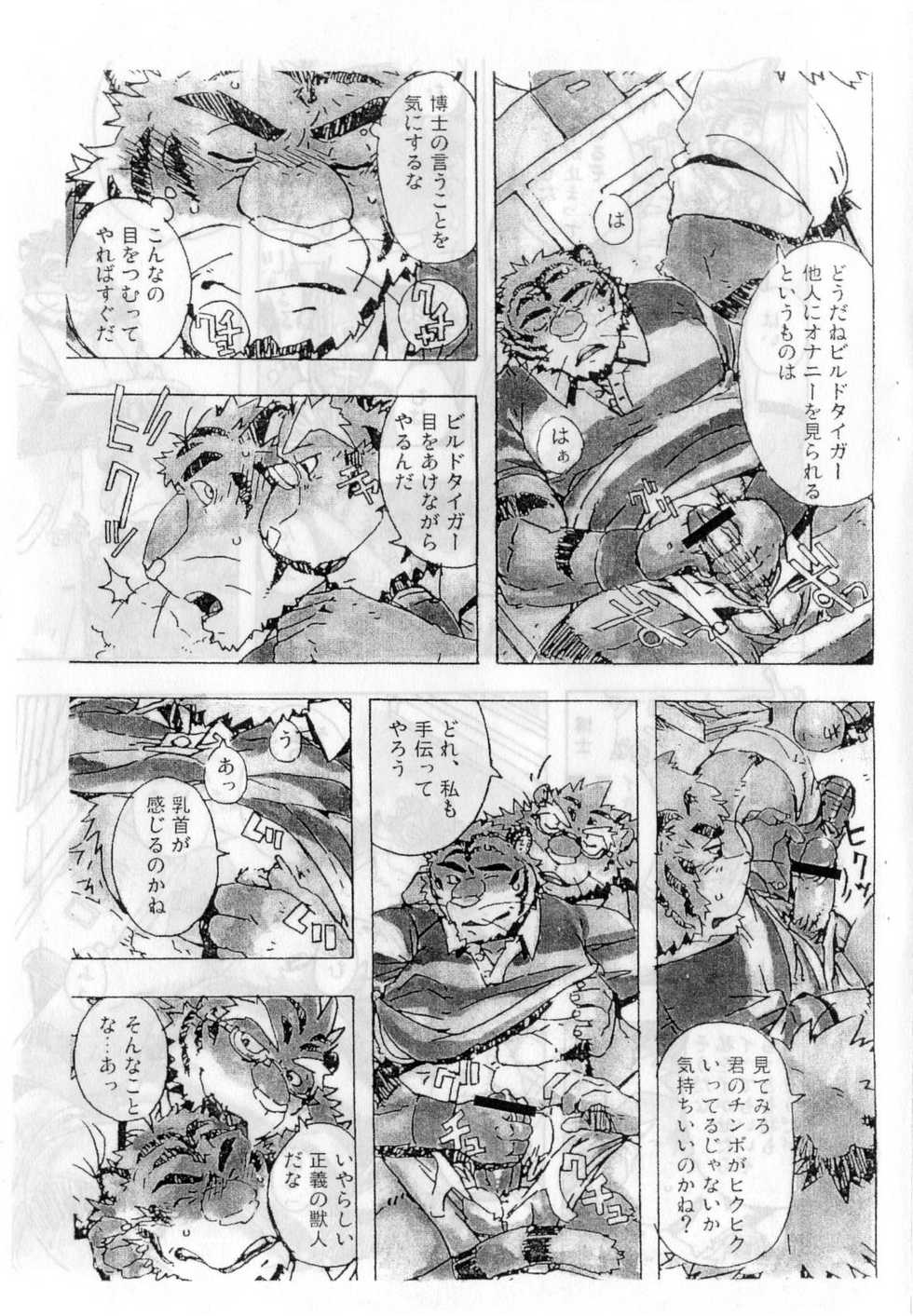 (C73) [Dragon Heart (gamma)] Choujuu Gasshin Build Tiger 02 - Page 15
