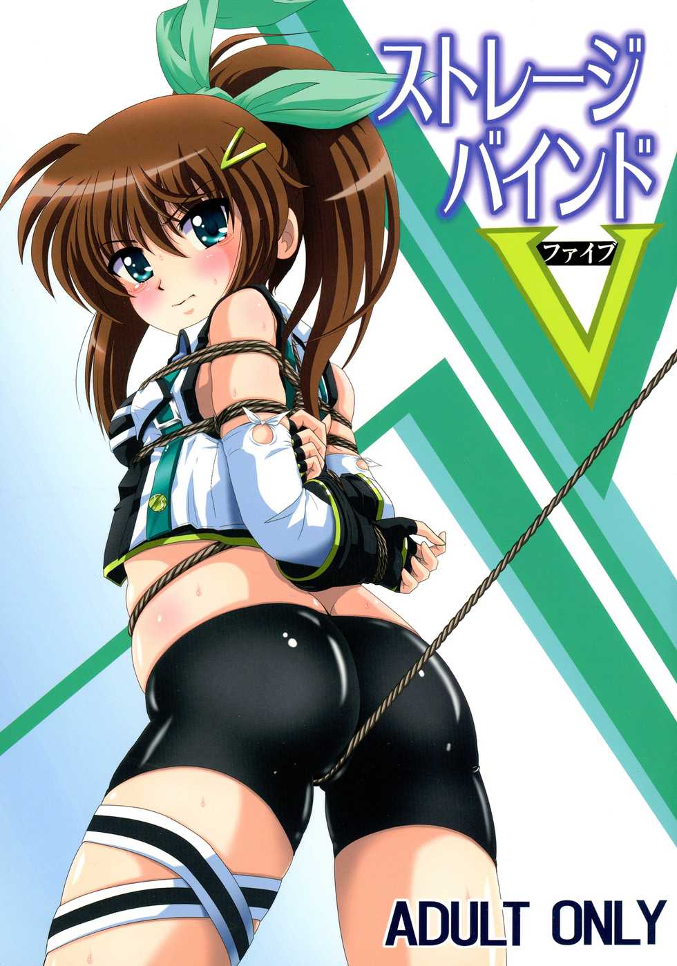 (C91) [Thirty Saver Street (Maki Hideto, Sawara Kazumitsu, Yonige-ya no Kyou)] Storage Bind 5 (Mahou Shoujo Lyrical Nanoha) - Page 1