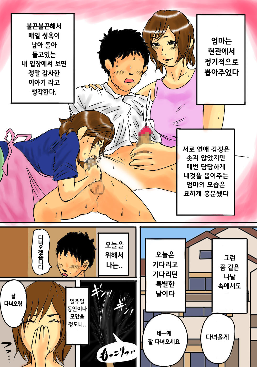 [Natsume Benkei] Maiasa, Okaa-san de Seiyoku Shori! [Korean] - Page 10