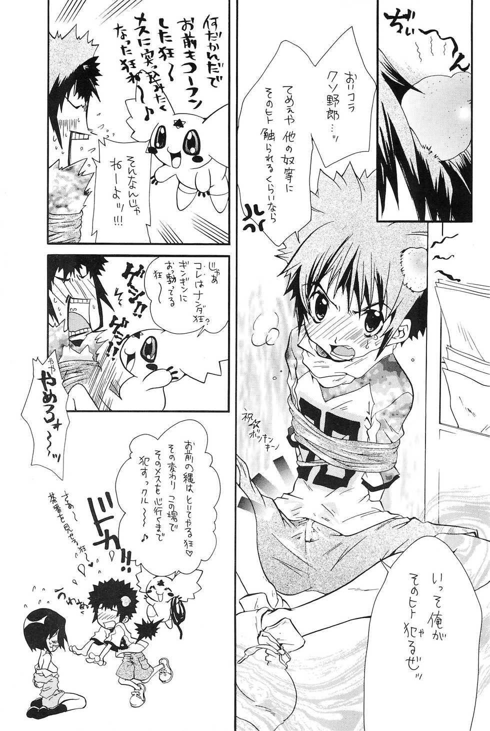 (C60) [Haw Haw Bomber (Kanno Tohko)] DUMMY (Digimon Adventure 02) - Page 21