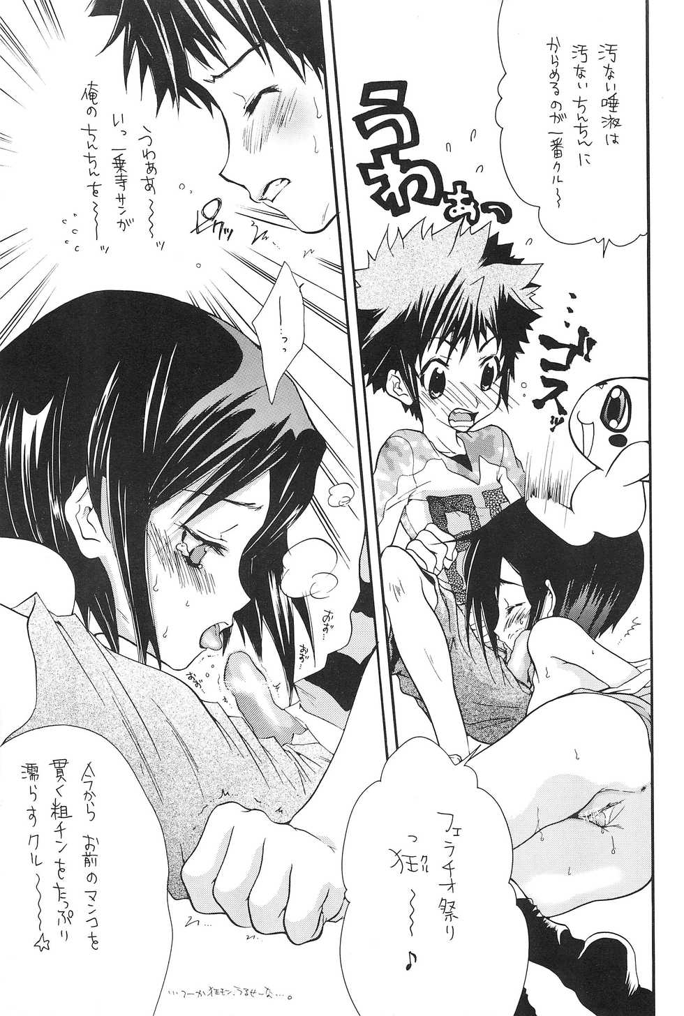 (C60) [Haw Haw Bomber (Kanno Tohko)] DUMMY (Digimon Adventure 02) - Page 25