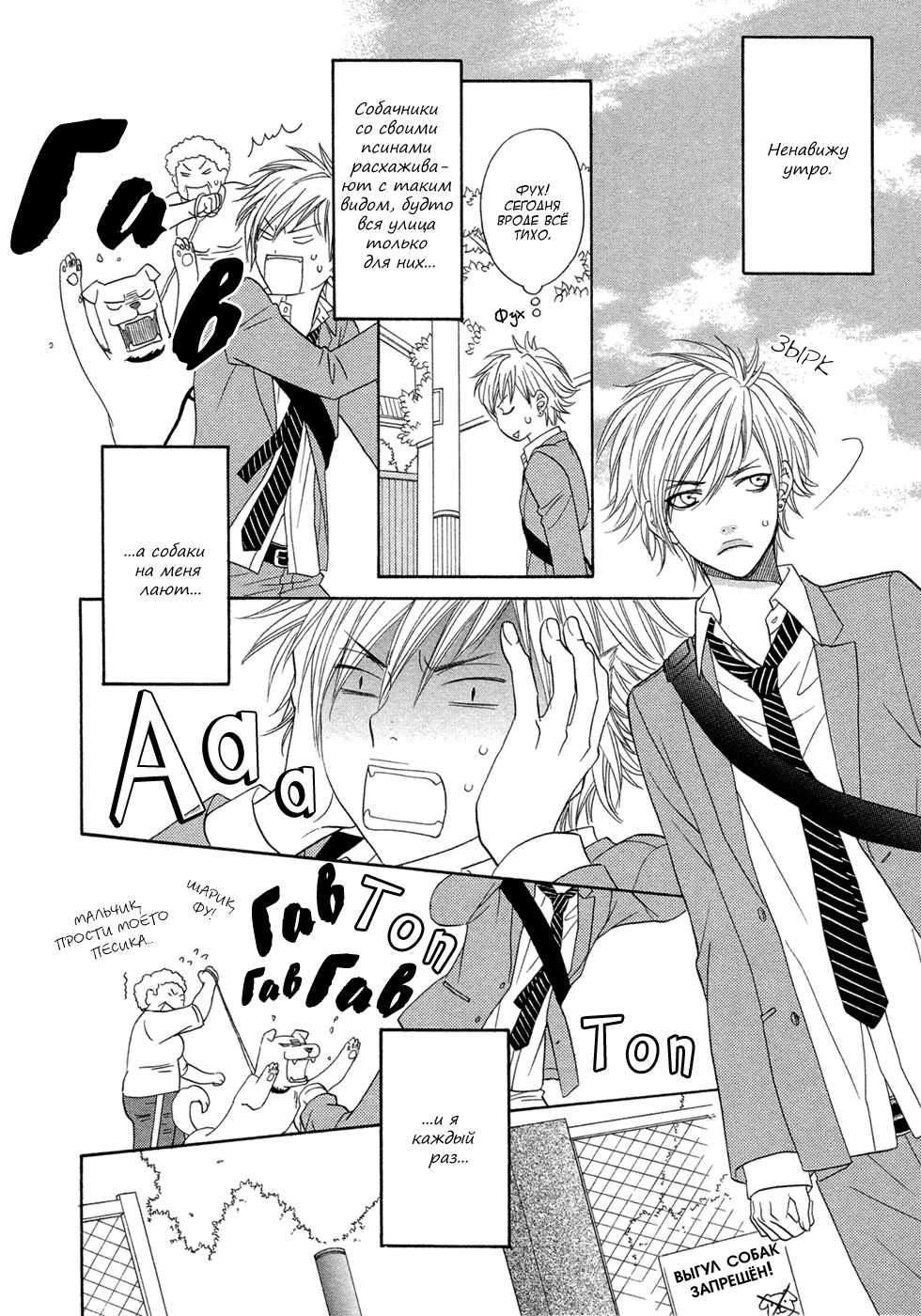 [Sakyo Aya] Nekoka Kareshi no Ayashikata | Правила воспитания бойфренда-котоборотня [Russian] [Aikan] - Page 8