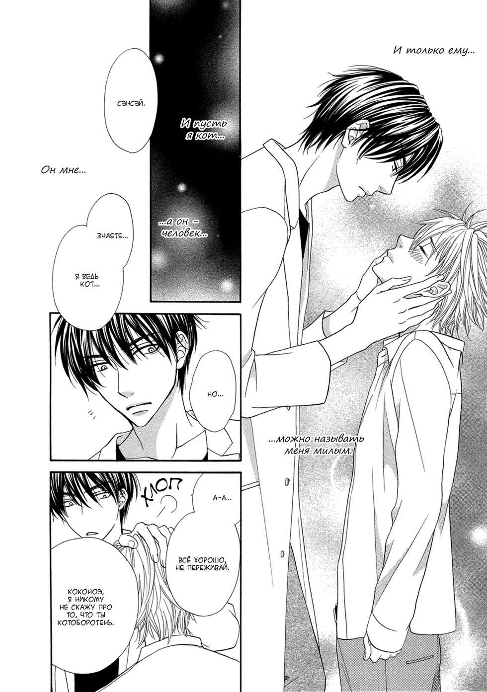 [Sakyo Aya] Nekoka Kareshi no Ayashikata | Правила воспитания бойфренда-котоборотня [Russian] [Aikan] - Page 30