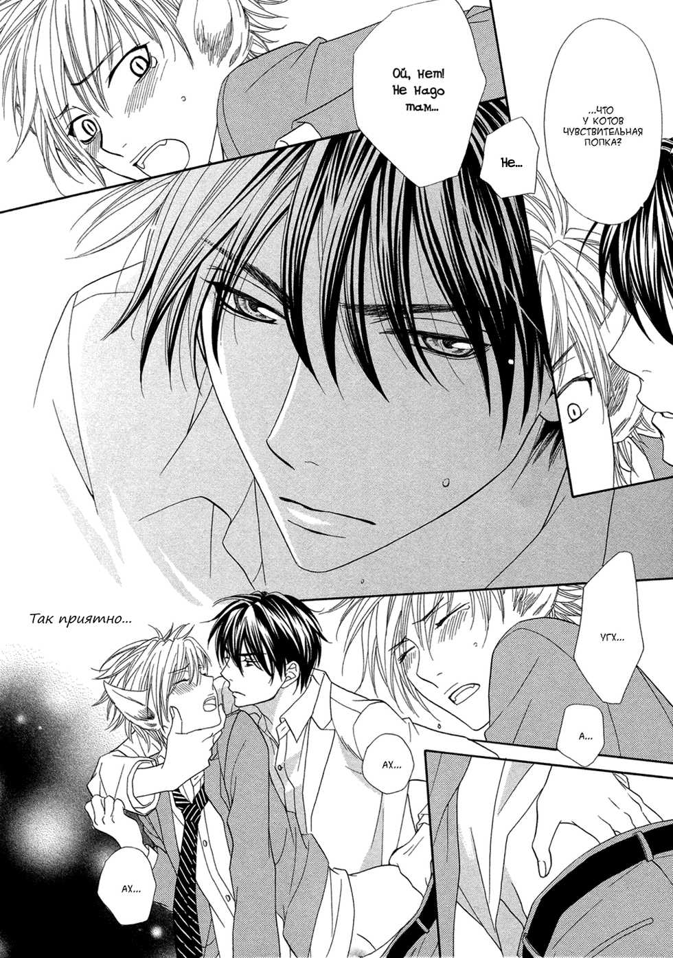 [Sakyo Aya] Nekoka Kareshi no Ayashikata | Правила воспитания бойфренда-котоборотня [Russian] [Aikan] - Page 40