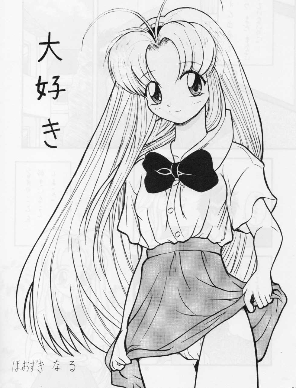 (C55) [AB NORMAL (NEW AB, Hoozuki Naru)] MINOR LEAGUE 3A (Record of Lodoss War, Mamotte Shugogetten!) - Page 20