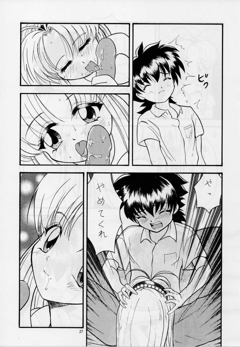 (C55) [AB NORMAL (NEW AB, Hoozuki Naru)] MINOR LEAGUE 3A (Record of Lodoss War, Mamotte Shugogetten!) - Page 26