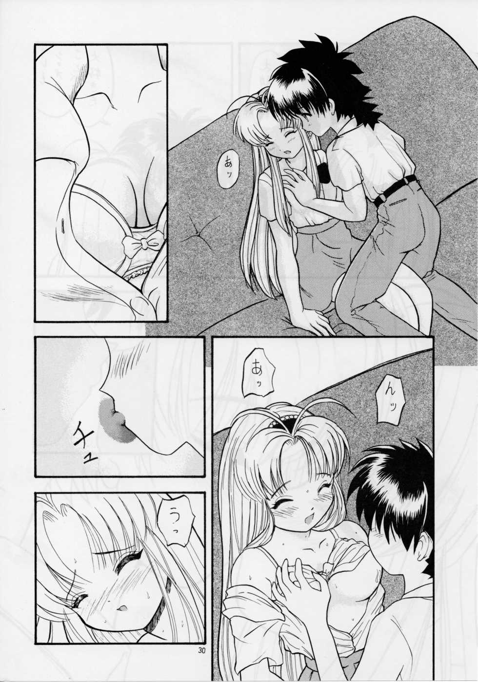 (C55) [AB NORMAL (NEW AB, Hoozuki Naru)] MINOR LEAGUE 3A (Record of Lodoss War, Mamotte Shugogetten!) - Page 29