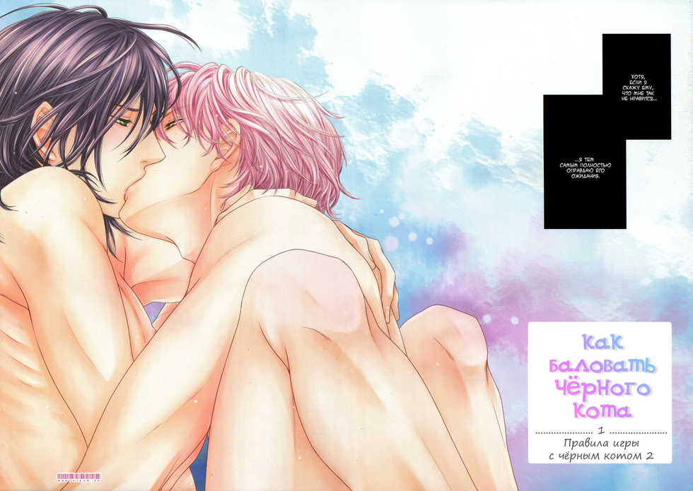 [Sakyo Aya] Kuroneko Kareshi no Amaekata | Правила игры с чёрным котом 2: Как баловать чёрного кота [Russian] [Aikan] - Page 8