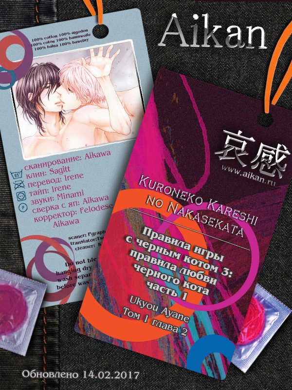 [Sakyo Aya] Kuroneko Kareshi no Aishikata 1 | Правила игры с чёрным котом 3: Правила любви чёрного кота - Часть 1 [Russian] [Aikan] - Page 2