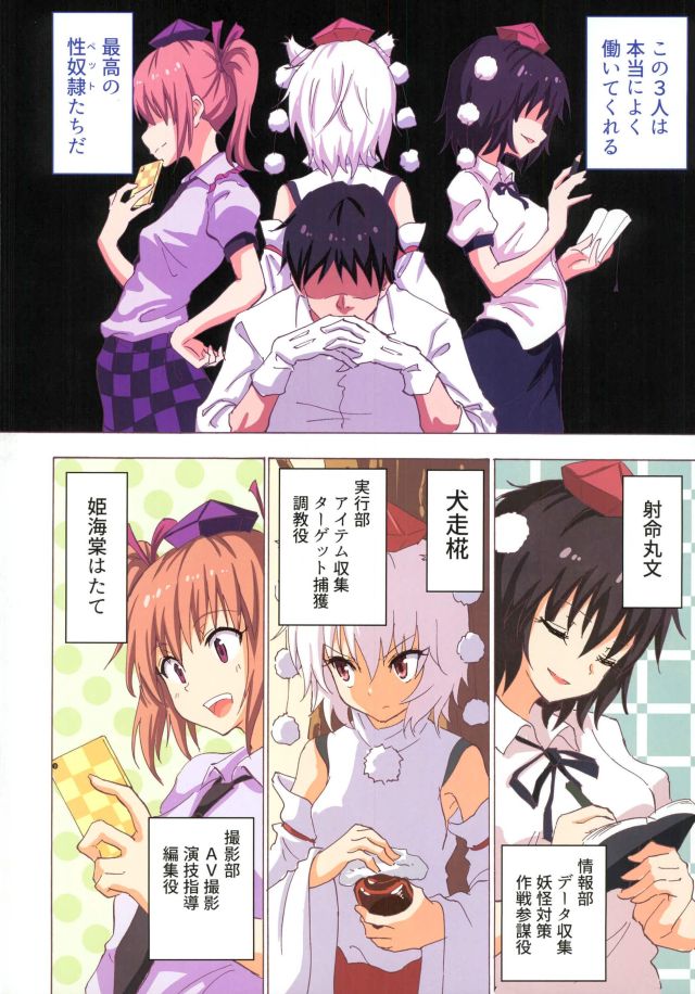 (C91) [Kamikadou (Ginyou Haru)] Gensoukyou Rakuenka Keikaku 18 (Touhou Project) - Page 5