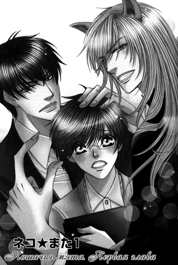 [Kamon Saeko] Neko Mata | Кошачья мята [Russian] [FlowersStorm, Blast Manga] - Page 15