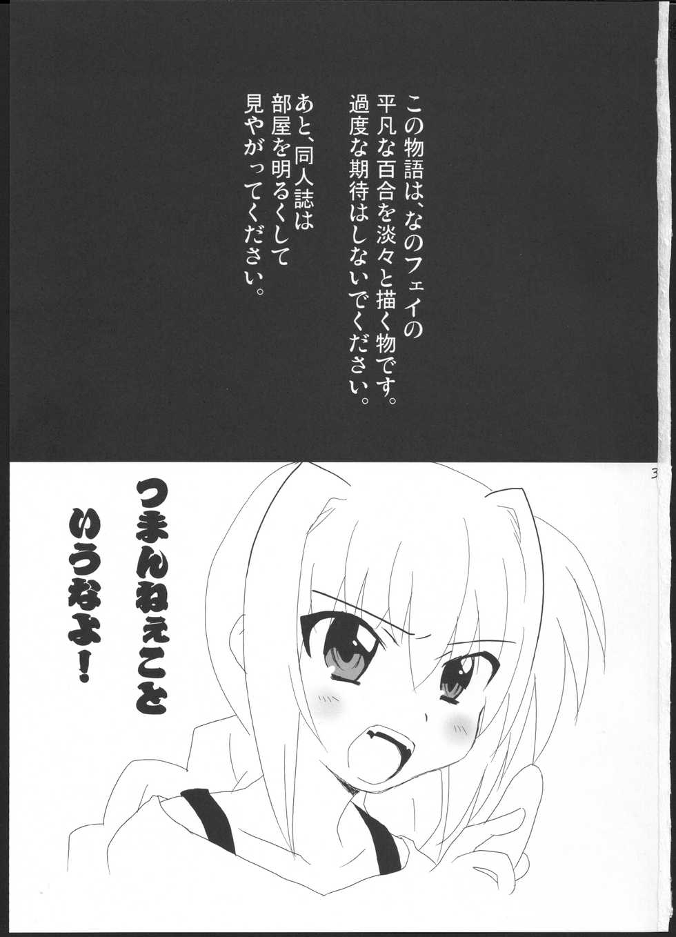 (C83) [Goberazzo (Mukaibi Aoi)] Onnanoko Doushi dakedo Ai sae Areba Kankeinai yo ne (Mahou Shoujo Lyrical Nanoha) [English] [GM_Highlander] - Page 2