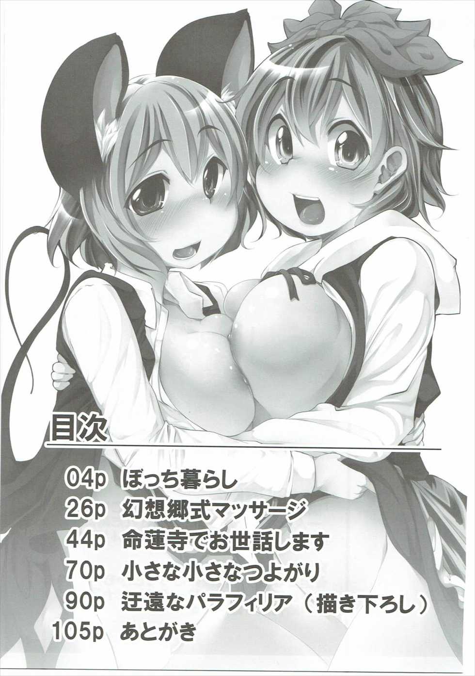 (C87) [Akikaze Asparagus, RPG COMPANY 2 (Aki)] Have Patience! (Touhou Project) - Page 2