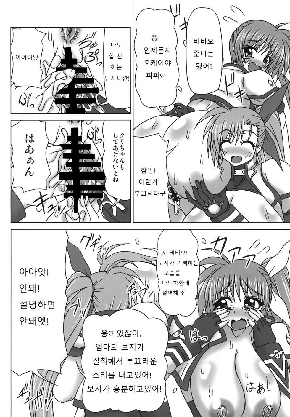 [REDBELL (Akazawa Fuyuki)] VS Takamachi Oyako (Mahou Shoujo Lyrical Nanoha) [Korean] [Digital] - Page 12
