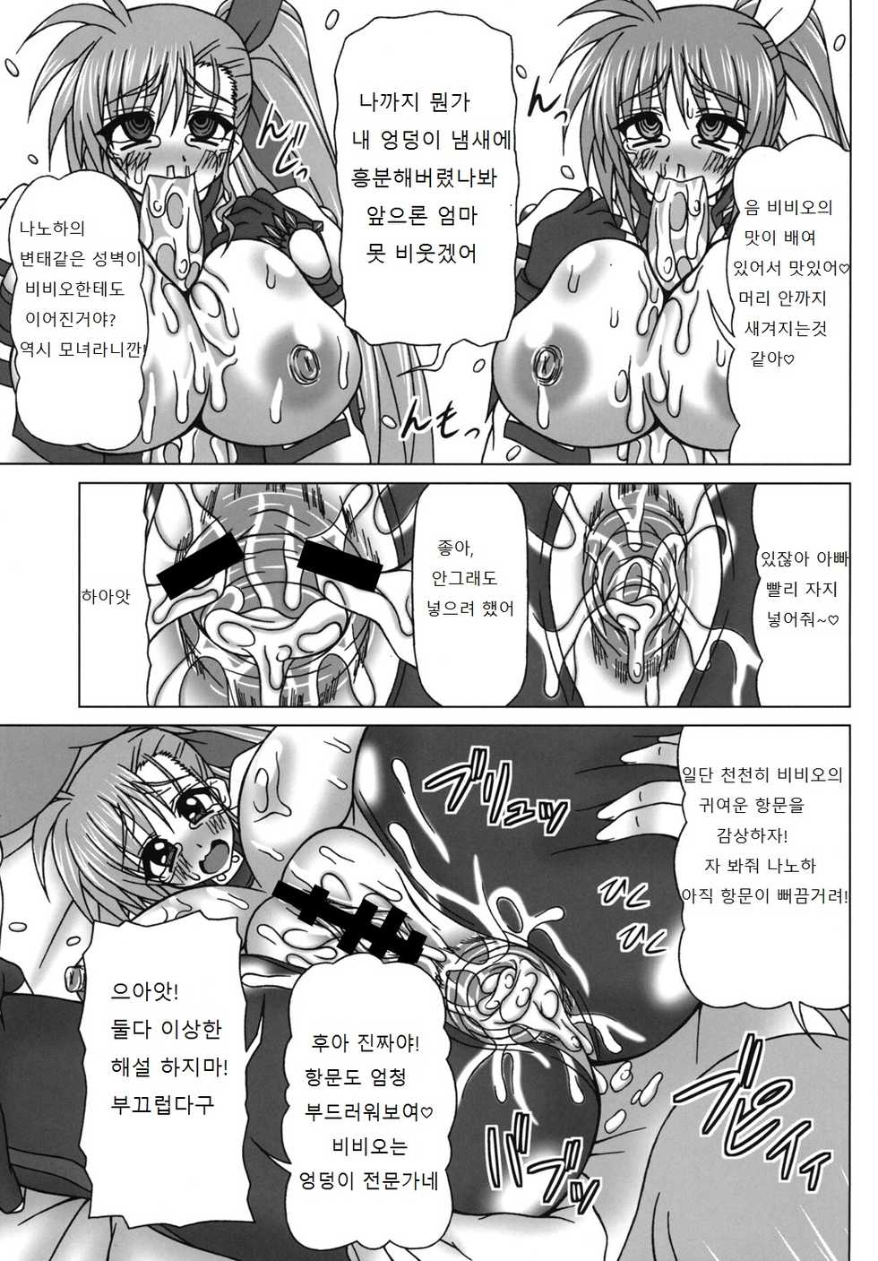 [REDBELL (Akazawa Fuyuki)] VS Takamachi Oyako (Mahou Shoujo Lyrical Nanoha) [Korean] [Digital] - Page 21