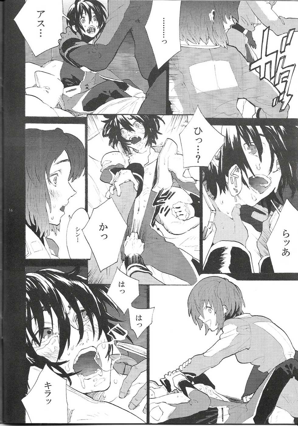 (SUPER16) [NEO-de (Natsusaka)] Maru de Yume o Miteiru Mitai (Gundam Seed Destiny) - Page 15