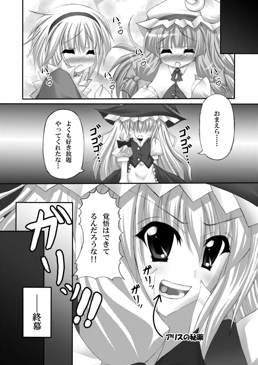 [Chronicle (YUKITO)] Only my wizard (Touhou Project) [Digital] - Page 16