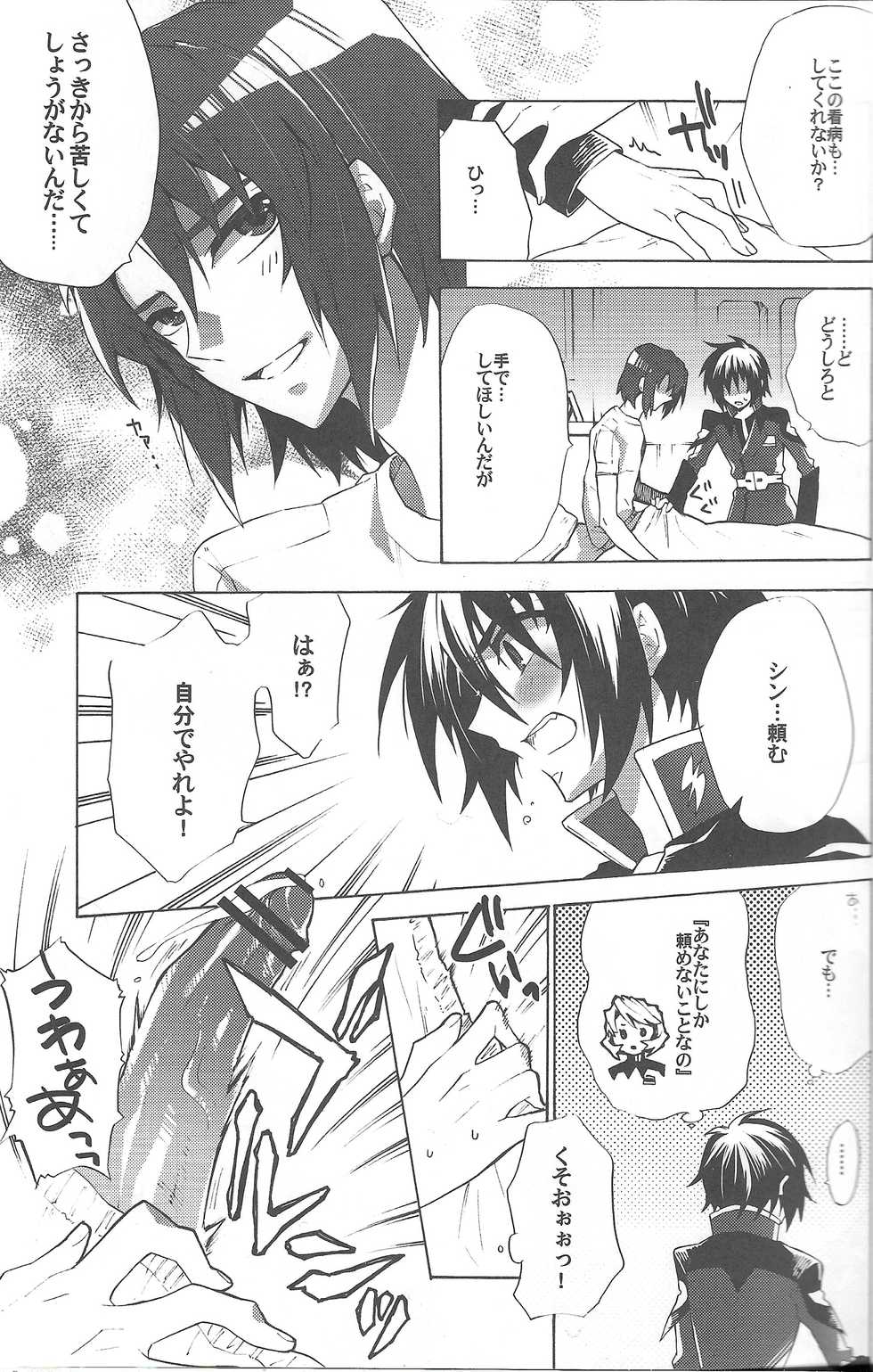 (C82) [sachi-machi (Shiina Ayumi)] Kimio no Taion wa Uso Mitai na Shiawase (Gundam Seed Destiny) - Page 8
