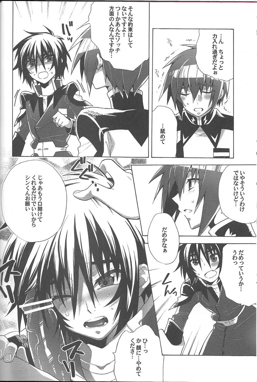 [sachi-machi (Shiina Ayumi)] Hanpirei Koufukuron - Happiness to be inversely proportional to (Gundam Seed Destiny) - Page 10