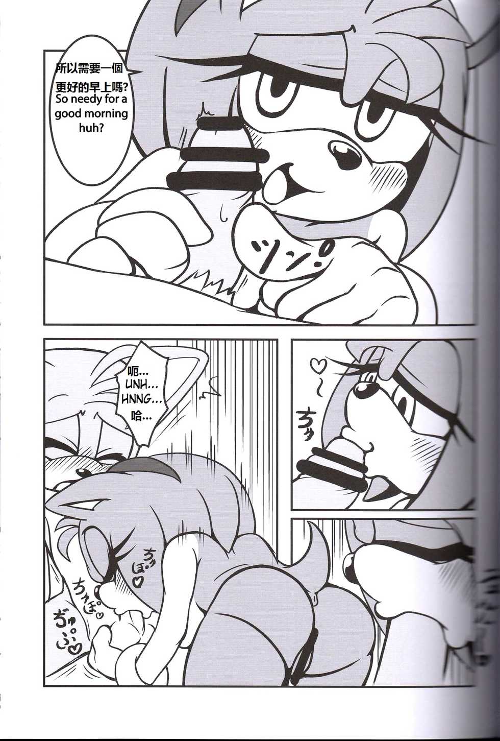 (Kansai! Kemoket 2) [Furry Fandom (Michiyoshi)] Kemono no Kanzume 3 (Sonic The Hedgehog) [English, Chinese] - Page 9