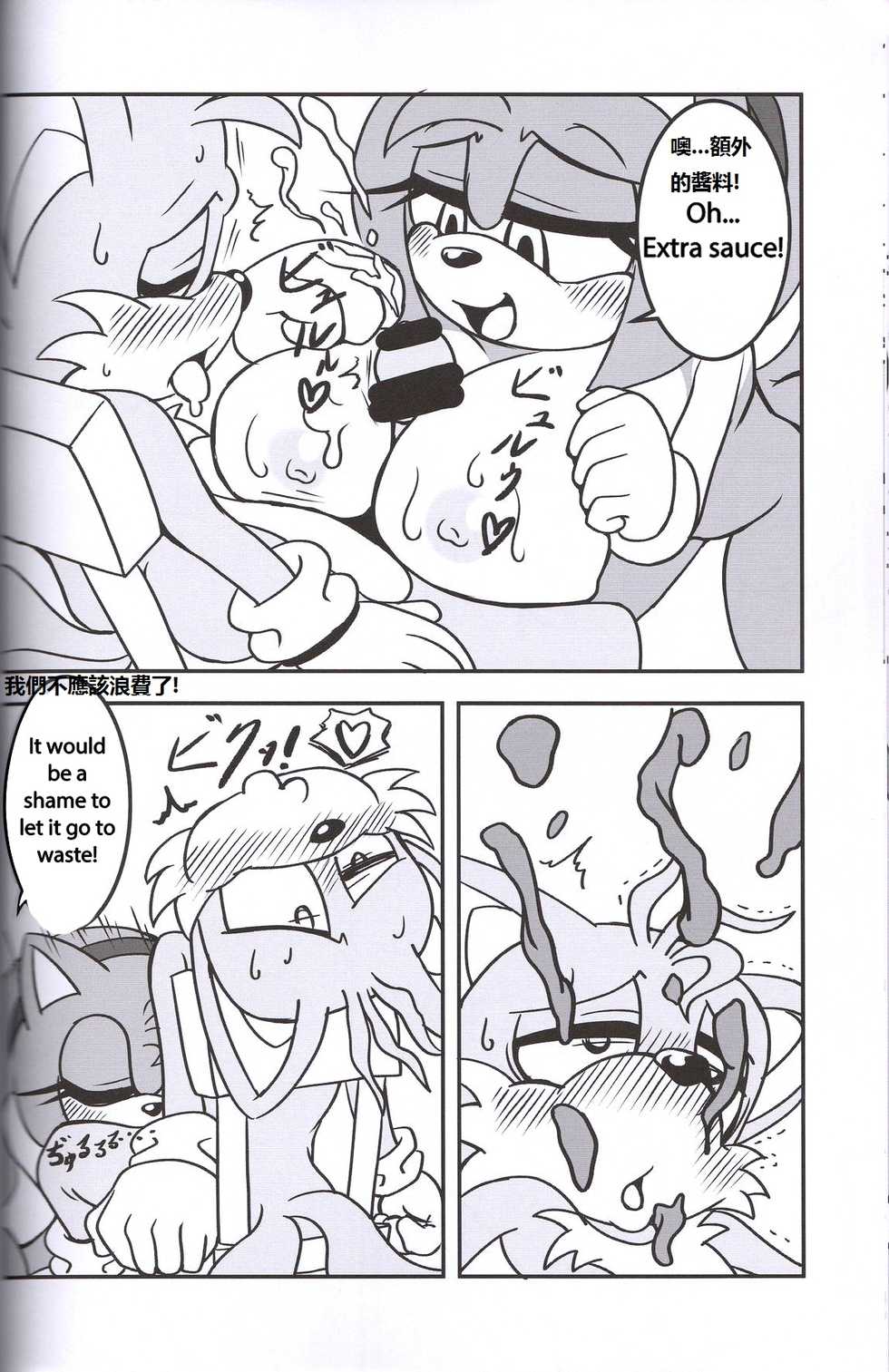 (Kansai! Kemoket 2) [Furry Fandom (Michiyoshi)] Kemono no Kanzume 3 (Sonic The Hedgehog) [English, Chinese] - Page 12