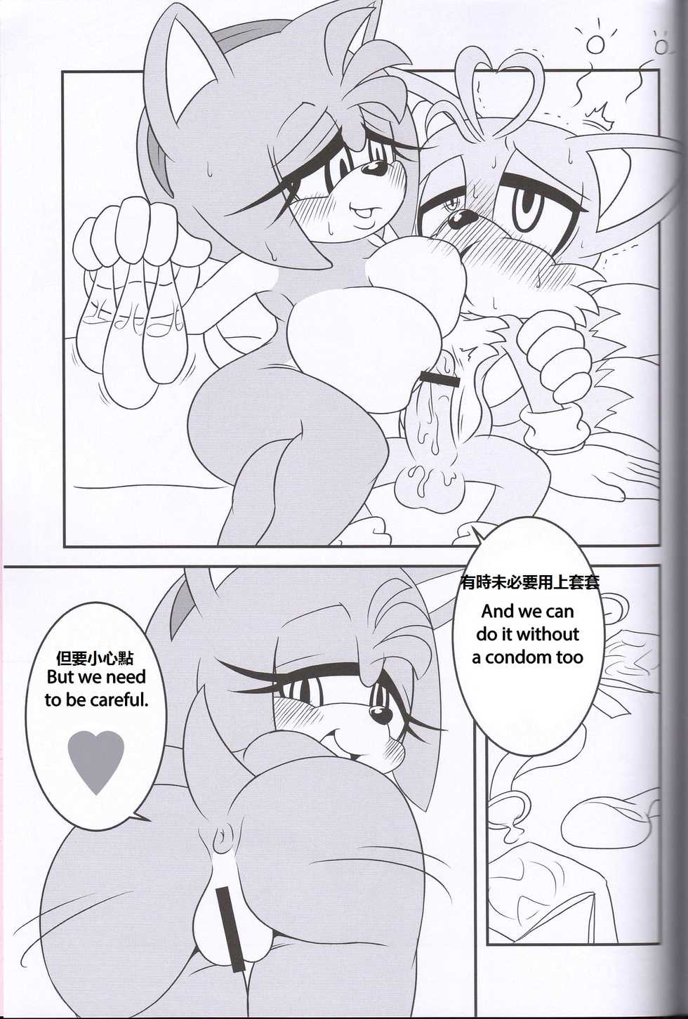 (Kansai! Kemoket 2) [Furry Fandom (Michiyoshi)] Kemono no Kanzume 3 (Sonic The Hedgehog) [English, Chinese] - Page 28