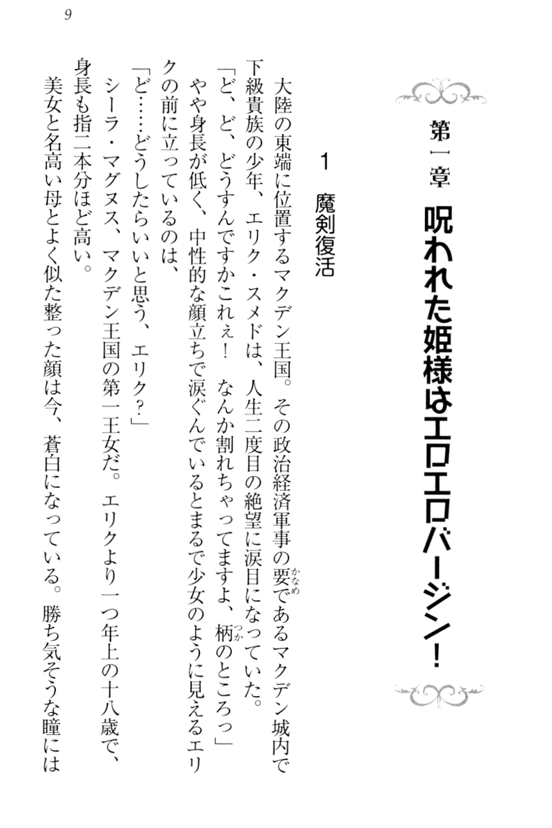 [Aohashi Yutaka, Arisue Tsukasa] Maken no Hime wa Eroero desu - Page 18