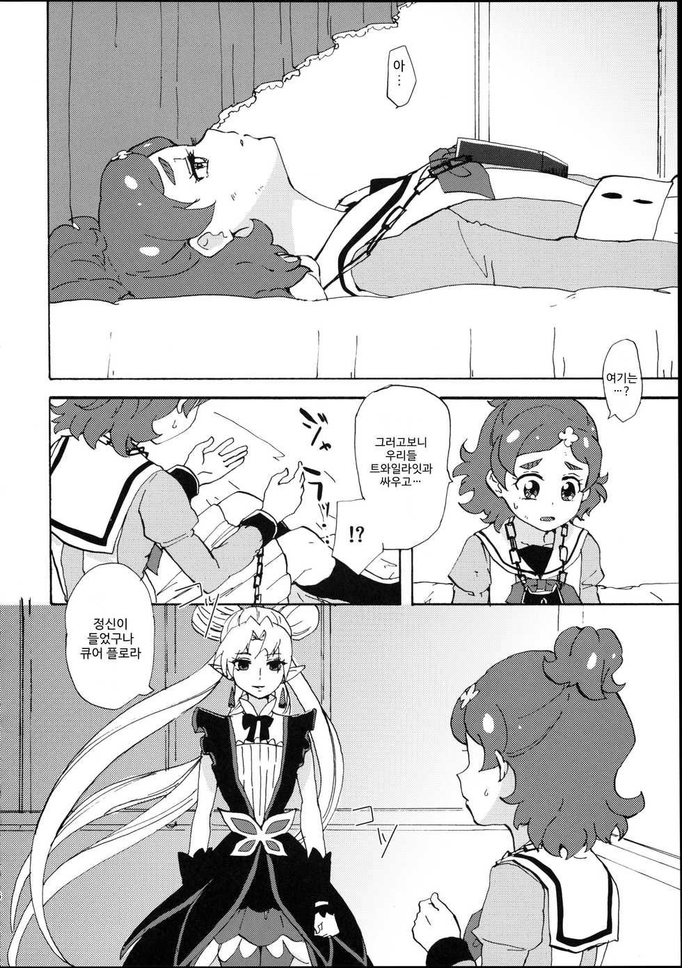 (Rainbow Flavor 13) [Yukirinrin! (Oyu)] Princess no Shitsukekata | 프린세스의 교육법 (Go! Princess PreCure) [Korean] - Page 7