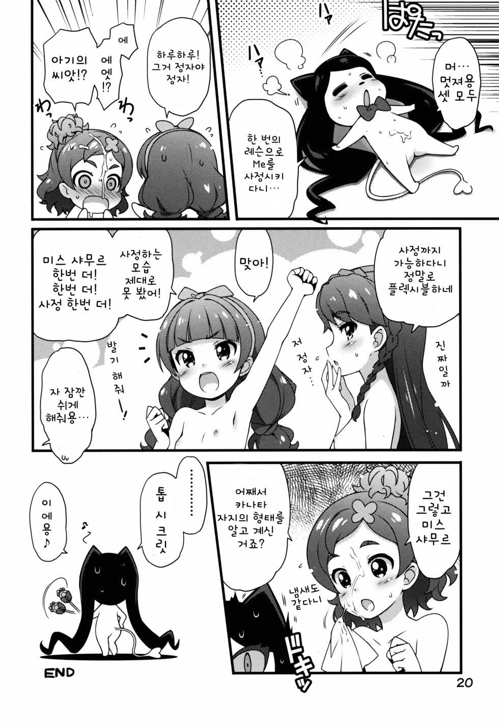 (C88) [life (Haga Yui)] Chou Jissenteki Princess Lesson | 초실천적 프린세스 레슨 (Go! Princess Precure) [Korean] - Page 21