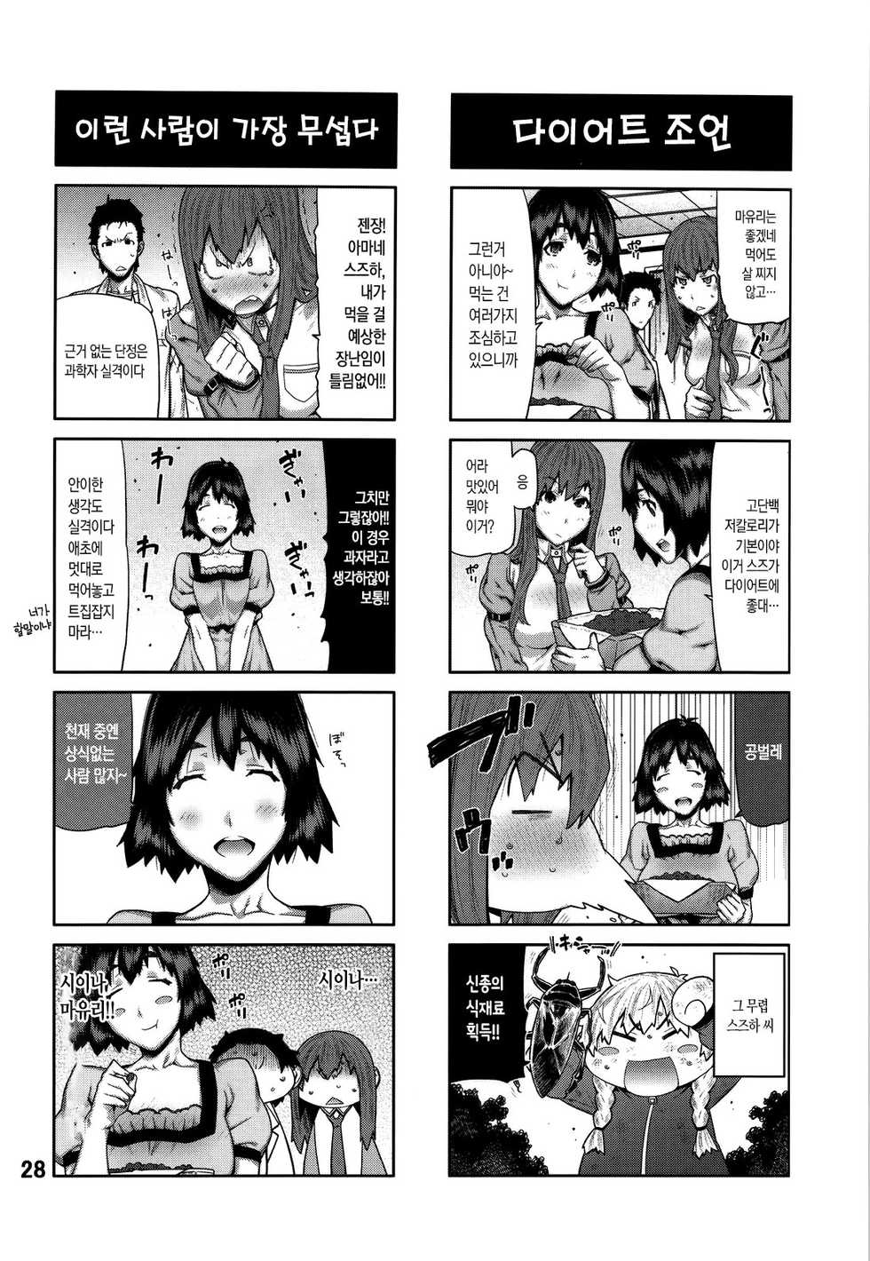 (C80) [BLACK FLY (Ikegami Tatsuya)] FORGET ME NOT (Steins;Gate) [Korean] - Page 27