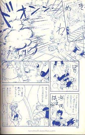 (C43) [Kame House (Yasunaga Wataru)] FEMALE TROUBLE (Dragon Ball Z) - Page 12