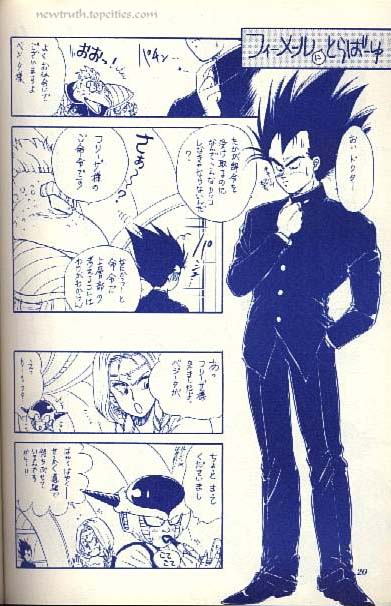 (C43) [Kame House (Yasunaga Wataru)] FEMALE TROUBLE (Dragon Ball Z) - Page 20