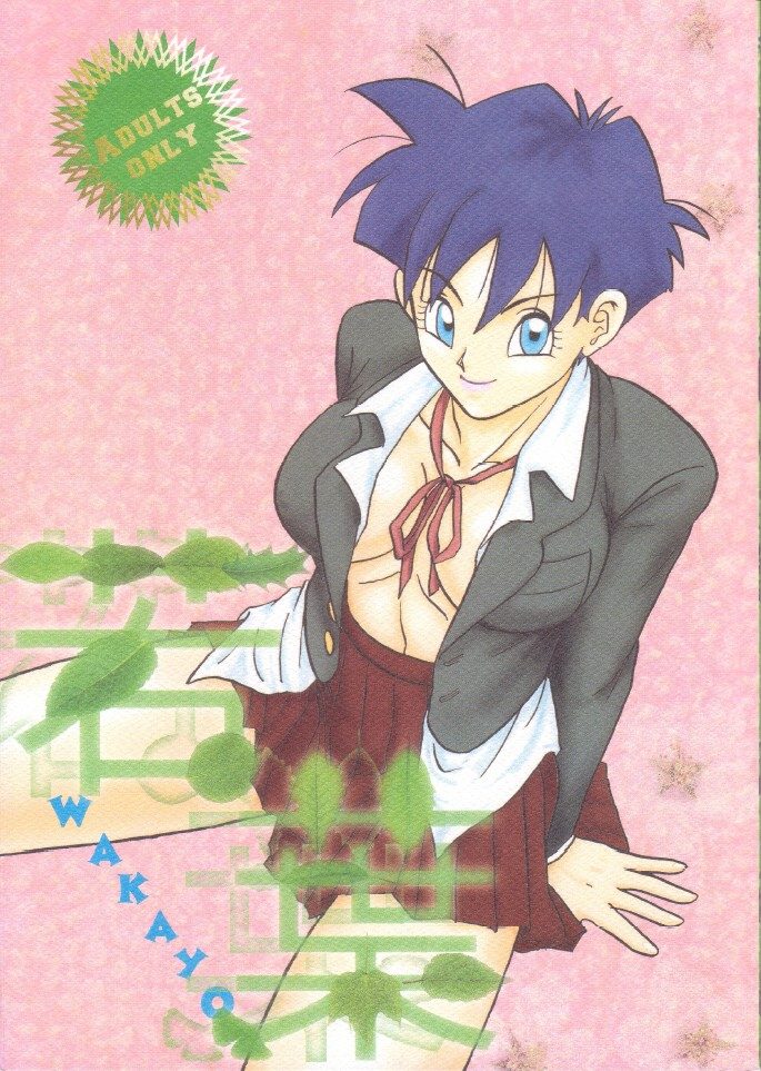[Chirigami Goya, Fusuma go Ten (Shoji Hariko, Kuri)] Wakayo (Dragon Ball) - Page 1