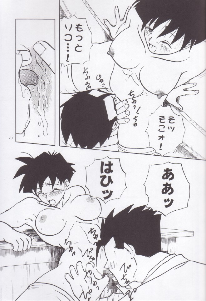 [Chirigami Goya, Fusuma go Ten (Shoji Hariko, Kuri)] Wakayo (Dragon Ball) - Page 14